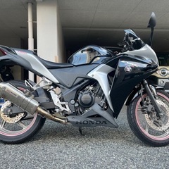 CBR250R MC41 廃車渡 23年7月問題なく乗れます