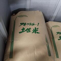 土佐市産 コシヒカリ 玄米 30kg R4年度
