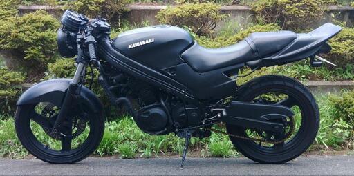 ZZR250 ネイキッド仕様 (1934)