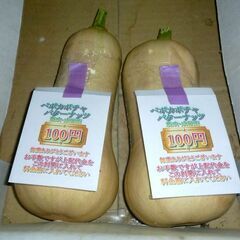 🔻【完売】🎃【新鮮野菜】バターナッツカボチャ　1個　7/16（日）