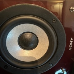 SONY SS-HW1 ペア（2台）さいたま市北区引き取り限定！