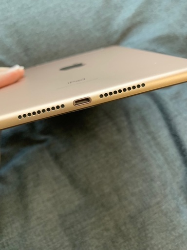 iPad mini 5 Wi-Fi+Cellular 64GB ゴールド本体のみ iPad mini5 Wi-Fi+