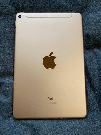 iPad mini 5 Wi-Fi+Cellular 64GB ゴールド本体のみ iPad mini 第5世代