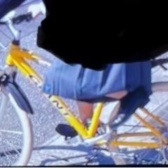 宝積寺駅に駐輪してありました黄色のGIANT自転車を探してます！　