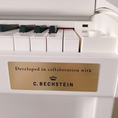 電子ピアノ CASIO GP-310 WE CELVIANO Grand Hybrid