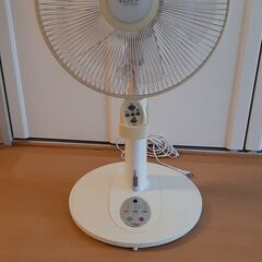 YUASA 扇風機 30cm リモコン付き タイマー、リズム、風...