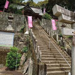 神社巡り⛩️