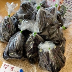水茄子（美男）1袋６本入り100円☆