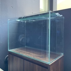 GEX グラステリア600 60cm水槽 ＋GEX水槽台 、su...