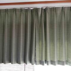 NITORI　グリーンのカーテン  幅100×丈110cm×2枚