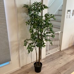 IKEA人工観葉植物 室内/屋外用 ベンジャミン
