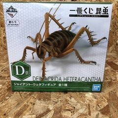 Wa542　ジャイアントウェタ　フィギュア　一番くじ　Ｄ賞