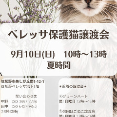 筑紫野ベレッサ保護猫譲渡会