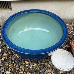 睡蓮鉢　大きめサイズ　金魚鉢　メダカ鉢
