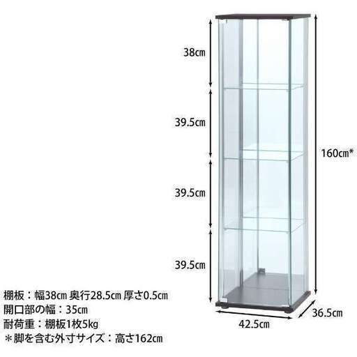 コレクションケース　160cm 不二貿易