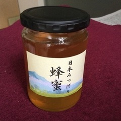 【ネット決済・配送可】ニホンミツバチ　蜂蜜
