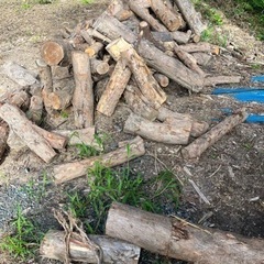 無料　薪ストーブ、キャンプ用薪の原木差し上げます
