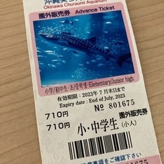 美ら海水族館 チケットの中古が安い！激安で譲ります・無料であげます