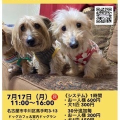本日！名古屋🐶犬の譲渡会