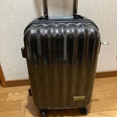 スーツケース(手荷物、機内持込可能サイズ)