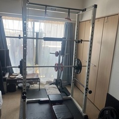 日/祝も発送 【秋田県秋田市近郊の方、引き取り可能な方限定】 WILD