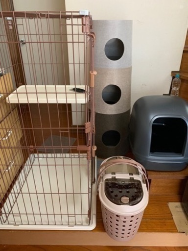 猫　飼育セット　仙台市内限定