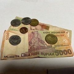 硬貨　紙幣 (海外)
