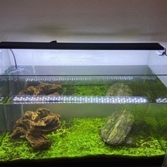 アクアリウム　完成品　引取限定　