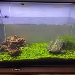 アクアリウム　完成品　引取限定　
