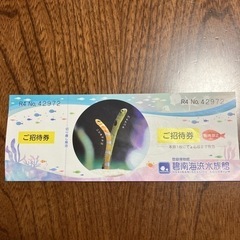 碧南海浜水族館　チケット　一枚