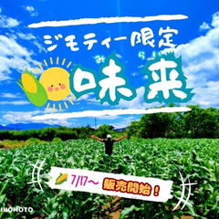 🌽スイートコーン「味来」20本セット