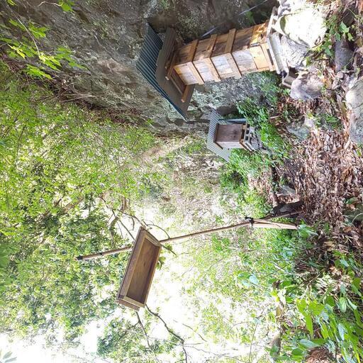 取引中)はちみつ 宮崎県産ニホンミツバチ日本蜜蜂みつばち 4.8kg