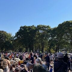 ●11/26(日)小金井公園 ビッグフリマ●ラズベリー周知