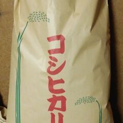 令和4年産  コシヒカリ  白米30kg