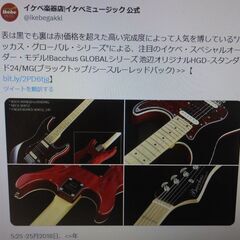 レア】BACCHUS（バッカス）エレキギター HGD-STANDARD24-MG/M BLK/RED 