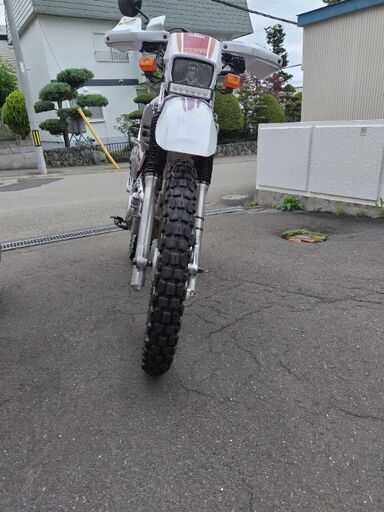 おんぶセロー