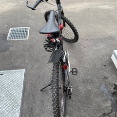ランボルギーニの自転車