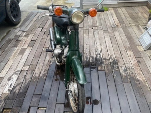 カブ　C50