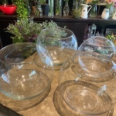 ガラスの花瓶・金魚鉢一つ1000円