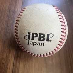 ICHIKO SPORTS UNITEX IPBL JAPAN ...