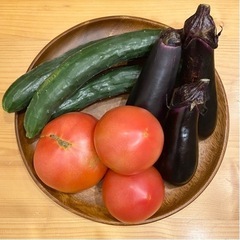 本日朝収穫夏野菜セット　(単品可)200円