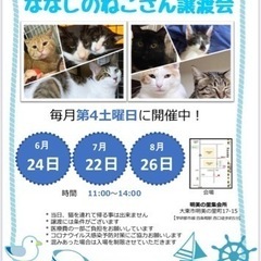 7月の四条畷駅　ななしのねこさん譲渡会