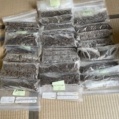 冷凍コオロギ4キロ（爬虫類、亀などの餌に）