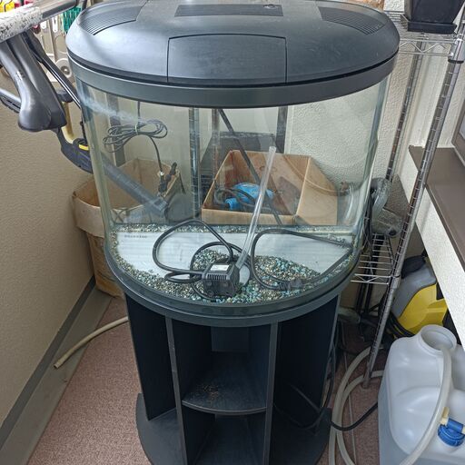 珍しい半円水槽60センチ コトブキ アリーナ KOTOBUKI ARENA 専用台セット