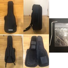 SCHECTER ( シェクター ) エレキギター ニックジョンストン + ギグバッグ