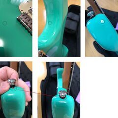 SCHECTER ( シェクター ) エレキギター ニックジョンストン + ギグバッグ