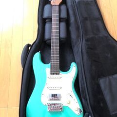 SCHECTER ( シェクター ) エレキギター ニックジョンストン + ギグバッグ