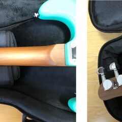 SCHECTER ( シェクター ) エレキギター ニックジョンストン + ギグバッグ