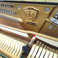 【期間限定 / 在庫一掃 / 早い者勝ち / 未整備現状渡し】サミック　SAMICK　SU-118 / IJF 00925 期間限定 / 在庫一掃 / 早い者勝ち / 未整備現状渡し】サミック SAMICK