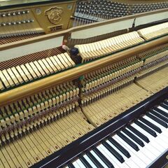 【期間限定 / 在庫一掃 / 早い者勝ち / 未整備現状渡し】サミック　SAMICK　SU-118 / IJF 00925 期間限定 / 在庫一掃 / 早い者勝ち / 未整備現状渡し】サミック SAMICK